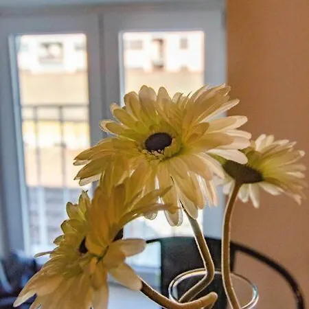 Corte 3 Con Parcheggio Gratuito Appartamento